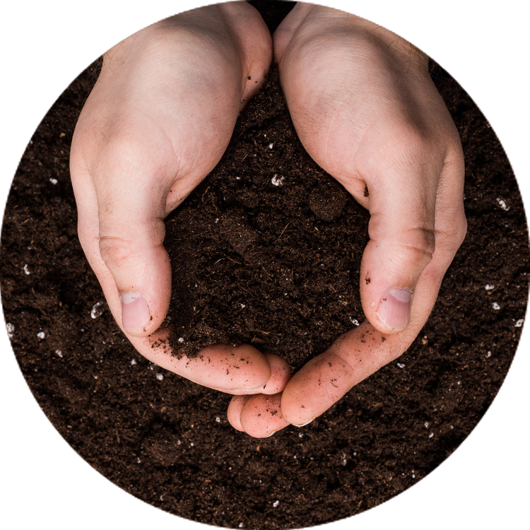 hands holding Van Beek's GardenPro Soil